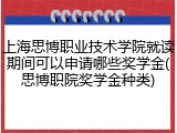 上海思博职业技术学院就读期间可以申请哪些奖学金(思博职院奖学金种类)