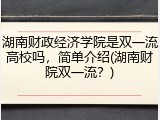 湖南财政经济学院是双一流高校吗，简单介绍(湖南财院双一流？)