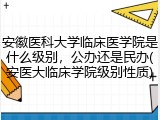 安徽医科大学临床医学院是什么级别，公办还是民办(安医大临床学院级别性质)