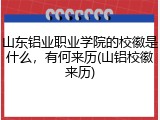 山东铝业职业学院的校徽是什么，有何来历(山铝校徽来历)