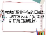 河南地矿职业学院的口碑如何，现在怎么样了(河南地矿职院口碑现状)