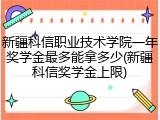 新疆科信职业技术学院一年奖学金最多能拿多少(新疆科信奖学金上限)