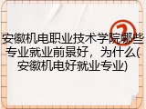 安徽机电职业技术学院哪些专业就业前景好，为什么(安徽机电好就业专业)