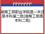 湖南工商职业学院是一本还是本科第二批(湖南工商属本科二批)