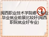 闽西职业技术学院哪个专业毕业就业前景比较好(闽西职院就业好专业)