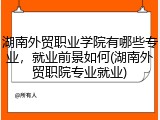 湖南外贸职业学院有哪些专业，就业前景如何(湖南外贸职院专业就业)