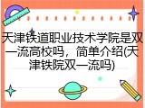 天津铁道职业技术学院是双一流高校吗，简单介绍(天津铁院双一流吗)