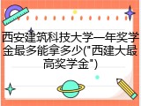 西安建筑科技大学一年奖学金最多能拿多少("西建大最高奖学金")