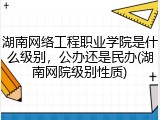 湖南网络工程职业学院是什么级别，公办还是民办(湖南网院级别性质)