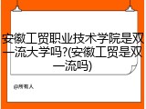 安徽工贸职业技术学院是双一流大学吗?(安徽工贸是双一流吗)