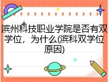 滨州科技职业学院是否有双学位，为什么(滨科双学位原因)