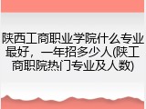 陕西工商职业学院什么专业最好，一年招多少人(陕工商职院热门专业及人数)