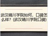 武汉晴川学院如何，口碑怎么样？(武汉晴川学院口碑)