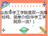 山东华宇工学院是双一流高校吗，简单介绍(华宇工学院双一流？)