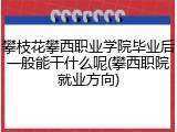 攀枝花攀西职业学院毕业后一般能干什么呢(攀西职院就业方向)