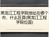 黑龙江工程学院地址在哪个市，什么区县(黑龙江工程学院位置)