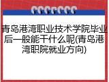 青岛港湾职业技术学院毕业后一般能干什么呢(青岛港湾职院就业方向)