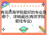 青岛滨海学院最好的专业是哪个，详细阐述(青滨学院最佳专业)