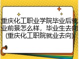 重庆化工职业学院毕业后就业前景怎么样，毕业生去向(重庆化工职院就业去向)
