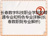 长春数字科技职业学院的普通专业和特色专业详解(长春数职院专业解析)