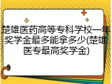 楚雄医药高等专科学校一年奖学金最多能拿多少(楚雄医专最高奖学金)