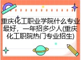 重庆化工职业学院什么专业最好，一年招多少人(重庆化工职院热门专业招生)