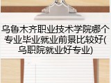 乌鲁木齐职业技术学院哪个专业毕业就业前景比较好(乌职院就业好专业)