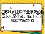 江苏城乡建设职业学院的校园文化是什么，简介(江苏城建学院文化)