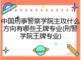 中国刑事警察学院主攻什么方向有哪些王牌专业(刑警学院王牌专业)