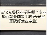 武汉光谷职业学院哪个专业毕业就业前景比较好(光谷职院好就业专业)