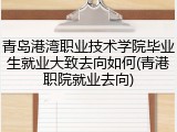 青岛港湾职业技术学院毕业生就业大致去向如何(青港职院就业去向)