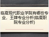 临夏现代职业学院有哪些专业，王牌专业分析(临夏职院专业分析)