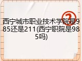 西宁城市职业技术学院是985还是211(西宁职院是985吗)