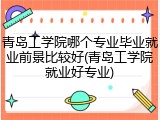 青岛工学院哪个专业毕业就业前景比较好(青岛工学院就业好专业)