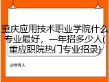 重庆应用技术职业学院什么专业最好，一年招多少人(重应职院热门专业招录)