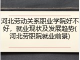 河北劳动关系职业学院好不好，就业现状及发展趋势(河北劳职院就业前景)