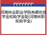 河南林业职业学院有哪些奖学金和助学金呢(河南林职奖助学金)