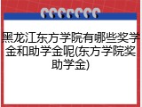 黑龙江东方学院有哪些奖学金和助学金呢(东方学院奖助学金)