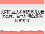 沈阳职业技术学院师资力量怎么样，名气如何(沈职院师资名气)