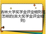 吉林大学奖学金评定细则是怎样的(吉大奖学金评定细则)