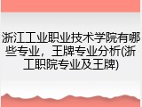 浙江工业职业技术学院有哪些专业，王牌专业分析(浙工职院专业及王牌)