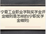 宁夏工业职业学院奖学金评定细则是怎样的(宁职奖学金细则)
