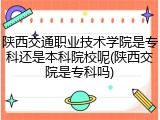 陕西交通职业技术学院是专科还是本科院校呢(陕西交院是专科吗)