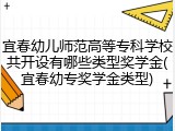 宜春幼儿师范高等专科学校共开设有哪些类型奖学金(宜春幼专奖学金类型)