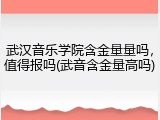 武汉音乐学院含金量量吗，值得报吗(武音含金量高吗)