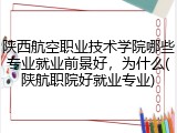 陕西航空职业技术学院哪些专业就业前景好，为什么(陕航职院好就业专业)