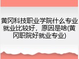 黄冈科技职业学院什么专业就业比较好，原因是啥(黄冈职院好就业专业)