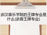 武汉音乐学院的王牌专业是什么(武音王牌专业)