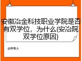 安徽冶金科技职业学院是否有双学位，为什么(安冶院双学位原因)