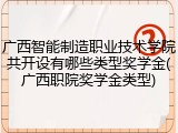 广西智能制造职业技术学院共开设有哪些类型奖学金(广西职院奖学金类型)